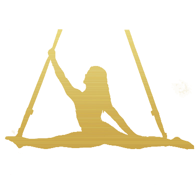 Symboliczna ikona Aerial Hoop