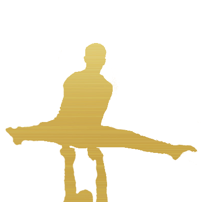 Symboliczna ikona Aerial Hoop